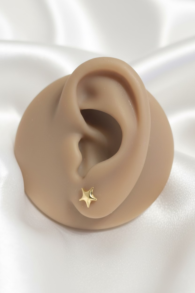 Star Stud Earring