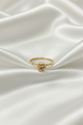 Cinnamon Ring